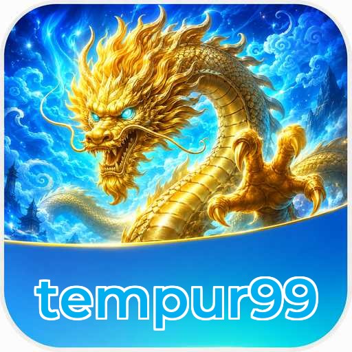 tempur99 Features